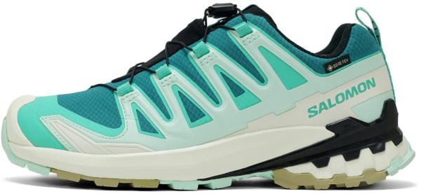Salomon XA PRO 3D V9 GTX W Trailrunningschuh Damen